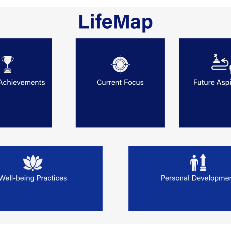 Introducing LifeMap